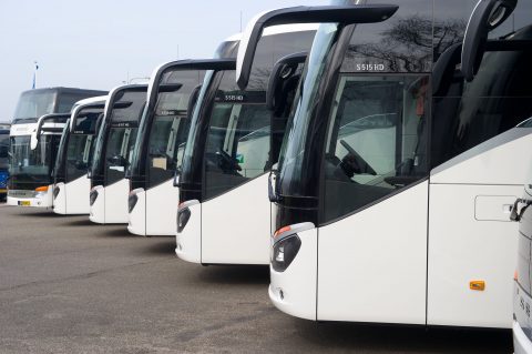 Rij gereinigde touringcarbussen op een depotterrein